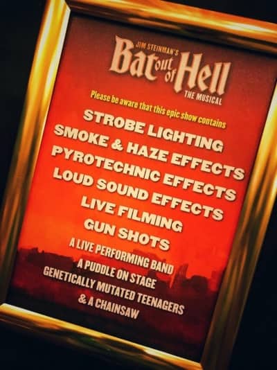 Sign - please be aware that this epic show contains strobe lighting, smoke and haze effects, pyrotechnic effects, loud sound effects, live filming, gun shots, a live performing band, a puddle on stage, genetically mutated teenagers and a chainsaw