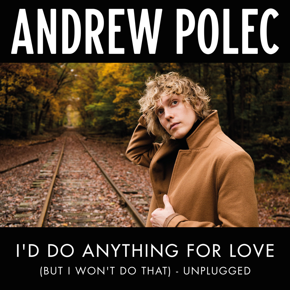 Single cover : Andrew Polec - I'd Do Anything For Love (But I Won't Do That) - Unplugged