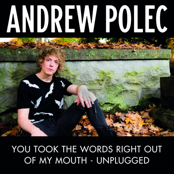 Single cover : Andrew Polec - You Took The Words Right Out Of My Mouth - Unplugged